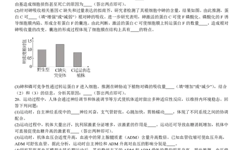 河北生物-试题_1.高考2025全国各省真题+答案_00.2025各省市高考真题及答案（按省份分类）_9、河北卷（全科，持续更新）_6.生物