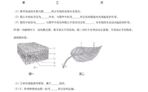 精品解析：湖南省长沙市2020年中考生物试题（原卷版）_中考真题_8.生物中考真题2015-2024年_2020生物真题74份_2020年中考真题精品解析生物（湖南长沙卷）精编word版
