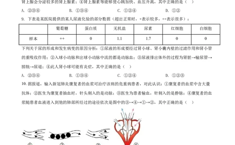 精品解析：湖北省宜昌市2021年中考生物试题（原卷版）_中考真题_8.生物中考真题2015-2024年_2021中考生物真题64份_2021湖北_精品解析：湖北省宜昌市2021年中考生物试题