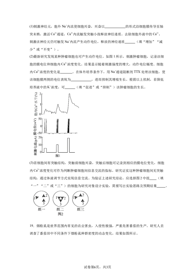河南2025年高考河南卷生物高考真题文档版_1.高考2025全国各省真题+答案_9.高考生物真题答案更新中