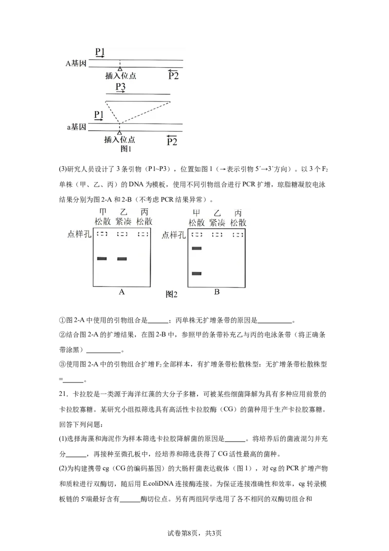 河南2025年高考河南卷生物高考真题文档版_1.高考2025全国各省真题+答案_9.高考生物真题答案更新中