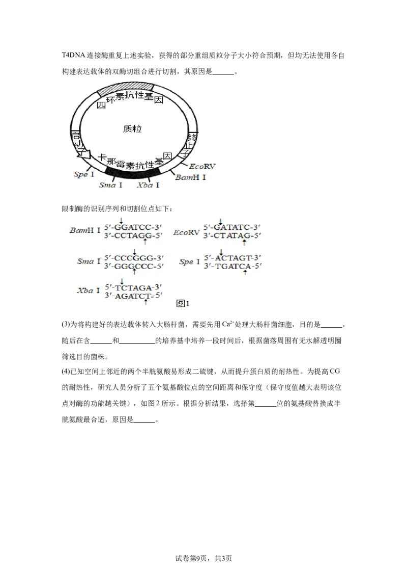 河南2025年高考河南卷生物高考真题文档版_1.高考2025全国各省真题+答案_9.高考生物真题答案更新中