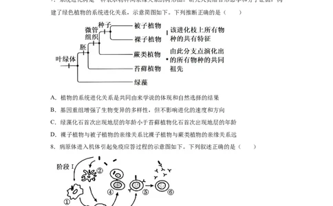 河南2025年高考河南卷生物高考真题文档版_1.高考2025全国各省真题+答案_9.高考生物真题答案更新中