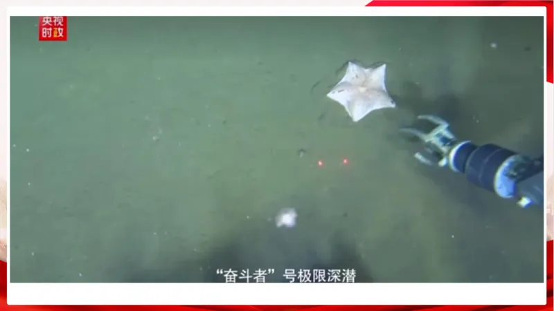 丹丹老师2024新年贺词PPT_2026考公资料_（49）政治理论合集_政治理论名师类_常识2025丹丹国省考常识全家桶（系统课+套题课+冲刺课）_讲义_重要热点课程赠送资料