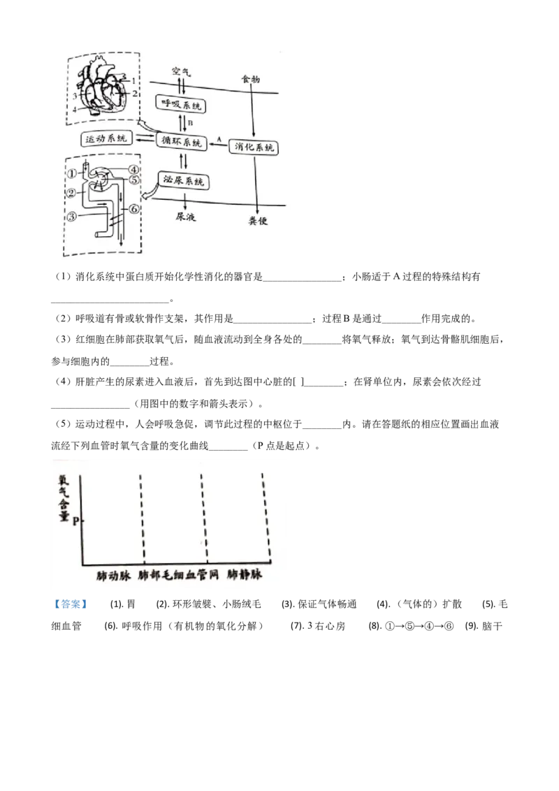 精品解析：山东省潍坊市2020年中考生物试题（解析版）_中考真题_8.生物中考真题2015-2024年_2020生物真题74份_2020年中考真题精品解析生物（山东潍坊卷）精编word版