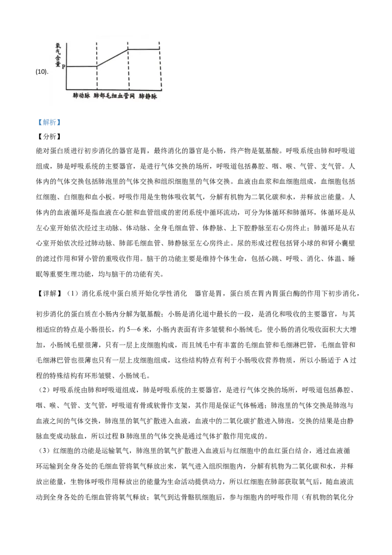 精品解析：山东省潍坊市2020年中考生物试题（解析版）_中考真题_8.生物中考真题2015-2024年_2020生物真题74份_2020年中考真题精品解析生物（山东潍坊卷）精编word版