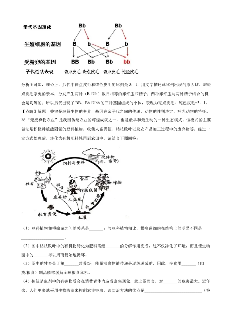 精品解析：山东省潍坊市2020年中考生物试题（解析版）_中考真题_8.生物中考真题2015-2024年_2020生物真题74份_2020年中考真题精品解析生物（山东潍坊卷）精编word版