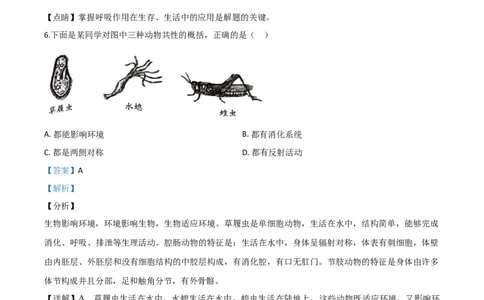 精品解析：山东省潍坊市2020年中考生物试题（解析版）_中考真题_8.生物中考真题2015-2024年_2020生物真题74份_2020年中考真题精品解析生物（山东潍坊卷）精编word版