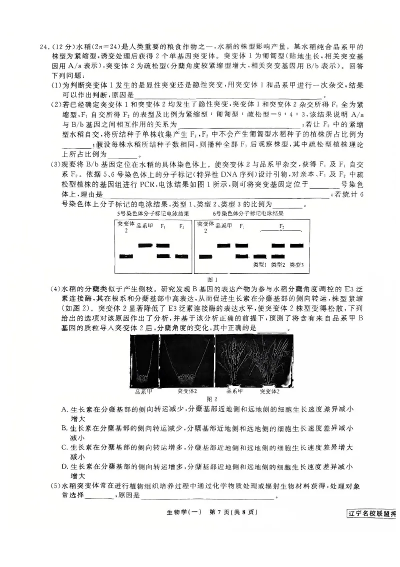 2025届辽宁省名校联盟高三下学期高考模拟卷押题卷生物学（一）试题_2025年5月_250506辽宁省名校联盟2025年高考模拟卷押题卷（数物化生）