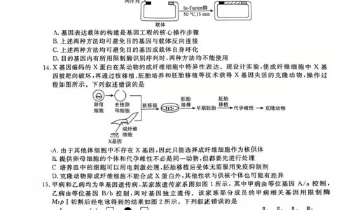 2025届辽宁省名校联盟高三下学期高考模拟卷押题卷生物学（一）试题_2025年5月_250506辽宁省名校联盟2025年高考模拟卷押题卷（数物化生）