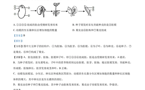 精品解析：湖北省宜昌市2021年中考生物试题（解析版）_中考真题_8.生物中考真题2015-2024年_2021中考生物真题64份_2021湖北_精品解析：湖北省宜昌市2021年中考生物试题