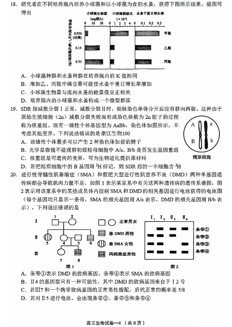 2025年金华市义乌市高三三模-生物试卷_2025年5月_2505142025年金华市义乌市高三三模适应性考试（全科）_2025年金华市义乌市高三三模适应性考试生物