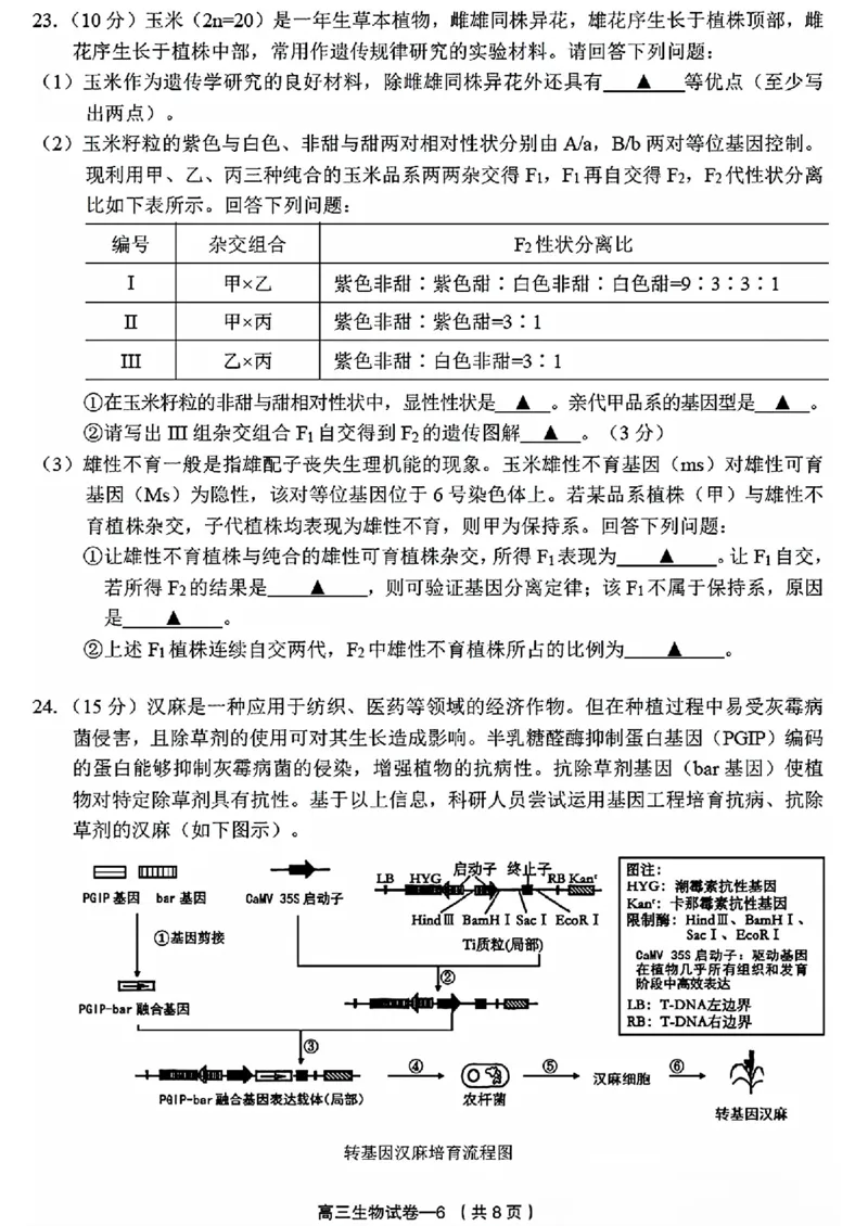 2025年金华市义乌市高三三模-生物试卷_2025年5月_2505142025年金华市义乌市高三三模适应性考试（全科）_2025年金华市义乌市高三三模适应性考试生物