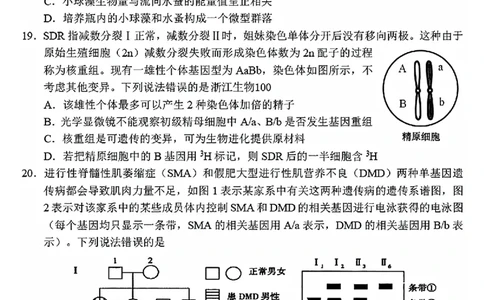 2025年金华市义乌市高三三模-生物试卷_2025年5月_2505142025年金华市义乌市高三三模适应性考试（全科）_2025年金华市义乌市高三三模适应性考试生物