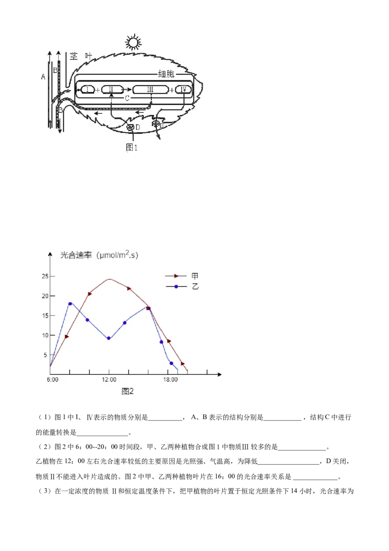 精品解析：山东省泰安市2021年中考生物试题（解析版）_中考真题_8.生物中考真题2015-2024年_2021中考生物真题64份_2021山东省_精品解析：山东省泰安市2021年中考生物试题