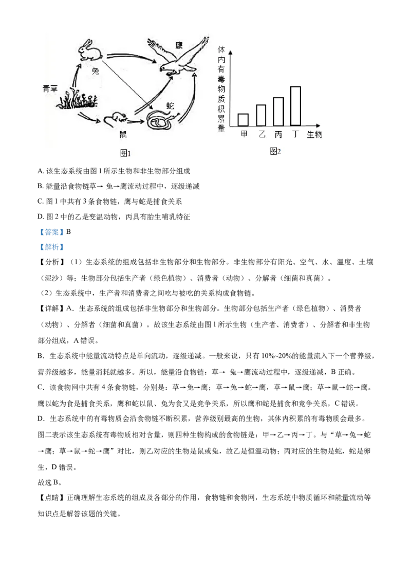 精品解析：山东省泰安市2021年中考生物试题（解析版）_中考真题_8.生物中考真题2015-2024年_2021中考生物真题64份_2021山东省_精品解析：山东省泰安市2021年中考生物试题