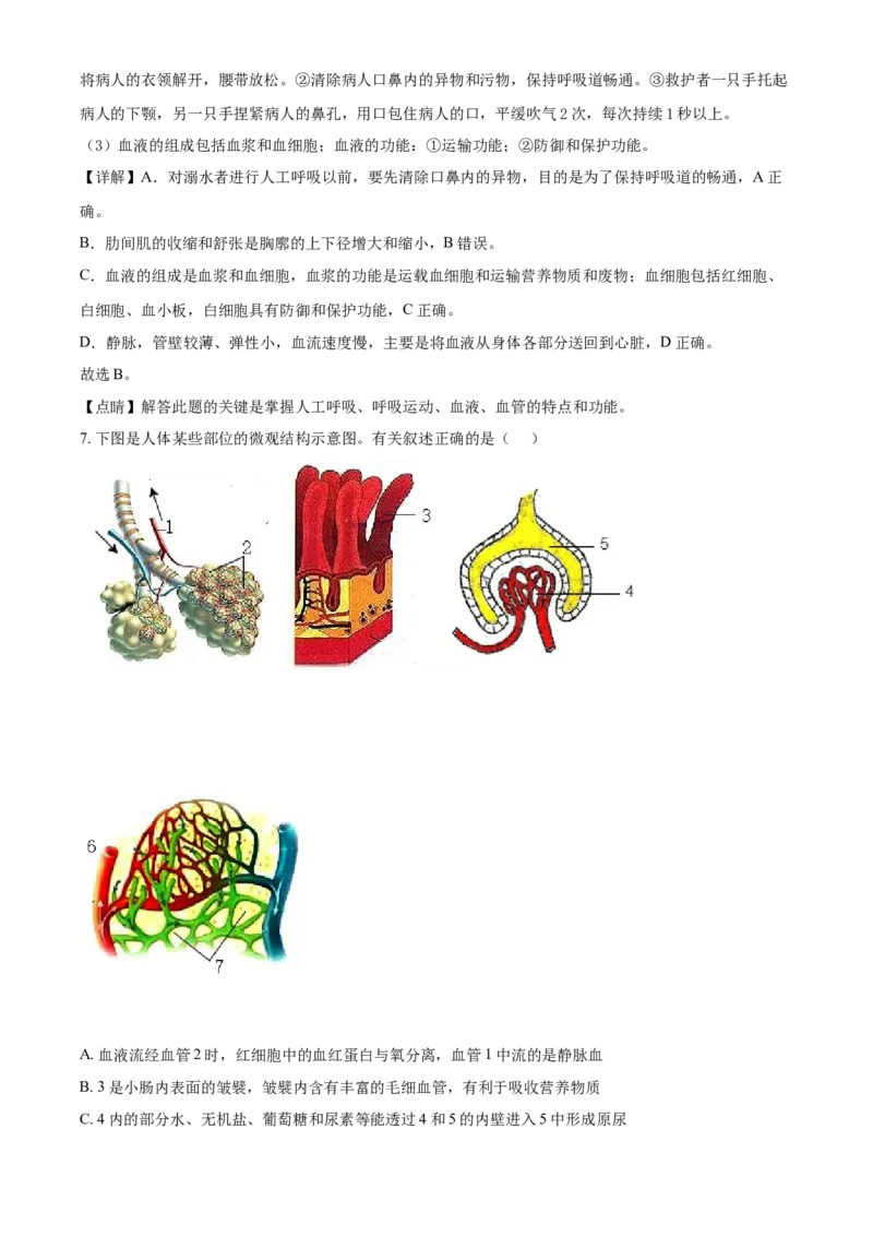 精品解析：山东省泰安市2021年中考生物试题（解析版）_中考真题_8.生物中考真题2015-2024年_2021中考生物真题64份_2021山东省_精品解析：山东省泰安市2021年中考生物试题