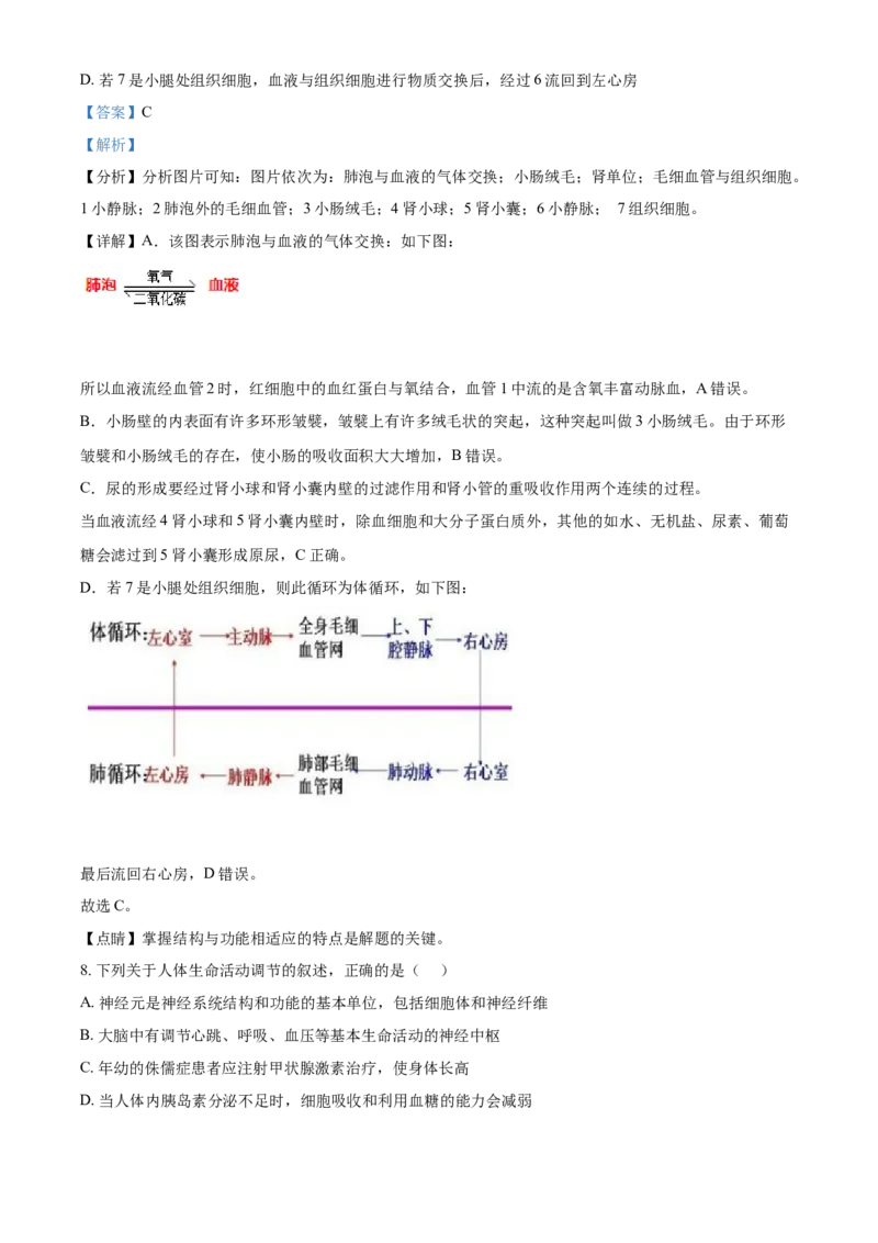 精品解析：山东省泰安市2021年中考生物试题（解析版）_中考真题_8.生物中考真题2015-2024年_2021中考生物真题64份_2021山东省_精品解析：山东省泰安市2021年中考生物试题