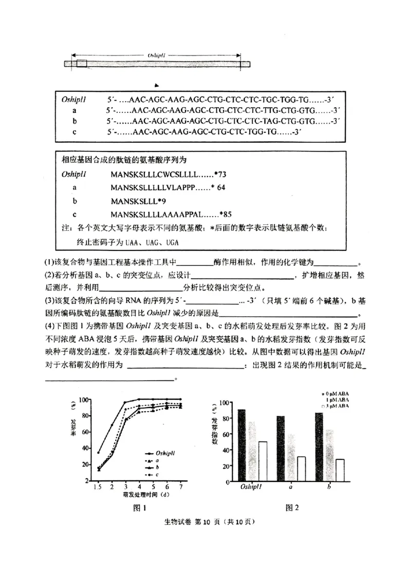 东北三省三校2025年高三第一次联合模拟考试生物_2025年3月_250308东北三省三校（哈师大附中、辽宁省实验中学、东北师大附中）2025年高三第一次联合模拟考试（全科）
