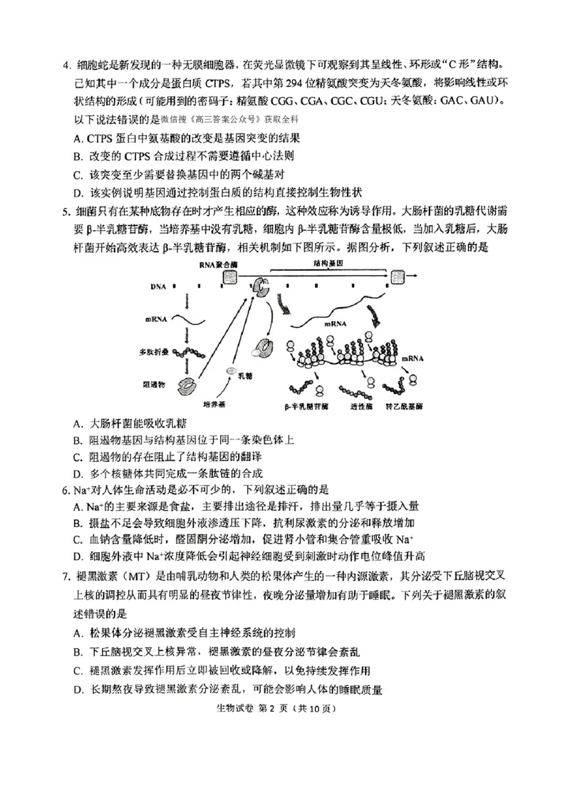 东北三省三校2025年高三第一次联合模拟考试生物_2025年3月_250308东北三省三校（哈师大附中、辽宁省实验中学、东北师大附中）2025年高三第一次联合模拟考试（全科）