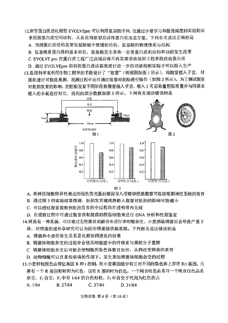东北三省三校2025年高三第一次联合模拟考试生物_2025年3月_250308东北三省三校（哈师大附中、辽宁省实验中学、东北师大附中）2025年高三第一次联合模拟考试（全科）