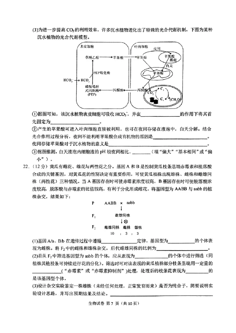 东北三省三校2025年高三第一次联合模拟考试生物_2025年3月_250308东北三省三校（哈师大附中、辽宁省实验中学、东北师大附中）2025年高三第一次联合模拟考试（全科）