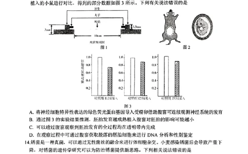 东北三省三校2025年高三第一次联合模拟考试生物_2025年3月_250308东北三省三校（哈师大附中、辽宁省实验中学、东北师大附中）2025年高三第一次联合模拟考试（全科）
