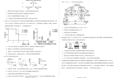 26届高三模拟预测一生物_2025年10月_251008四川省眉山中学校2026届高三上学期模拟预测一_四川省眉山中学校2026届高三上学期模拟预测一生物