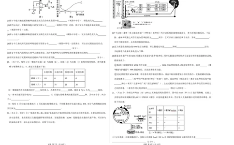 26届高三模拟预测一生物_2025年10月_251008四川省眉山中学校2026届高三上学期模拟预测一_四川省眉山中学校2026届高三上学期模拟预测一生物