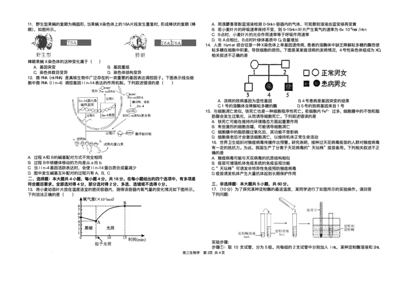 2025届湖南省长沙市雅礼中学高三下学期冲刺模拟训练生物试题（含答案）_2025年5月_2505192025届湖南省长沙市雅礼中学高三下学期冲刺模拟训练（全科）