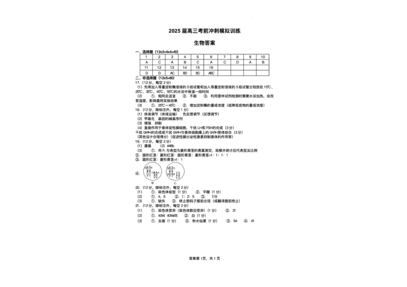 2025届湖南省长沙市雅礼中学高三下学期冲刺模拟训练生物试题（含答案）_2025年5月_2505192025届湖南省长沙市雅礼中学高三下学期冲刺模拟训练（全科）