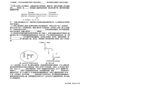 2025届湖南省长沙市雅礼中学高三下学期冲刺模拟训练生物试题（含答案）_2025年5月_2505192025届湖南省长沙市雅礼中学高三下学期冲刺模拟训练（全科）