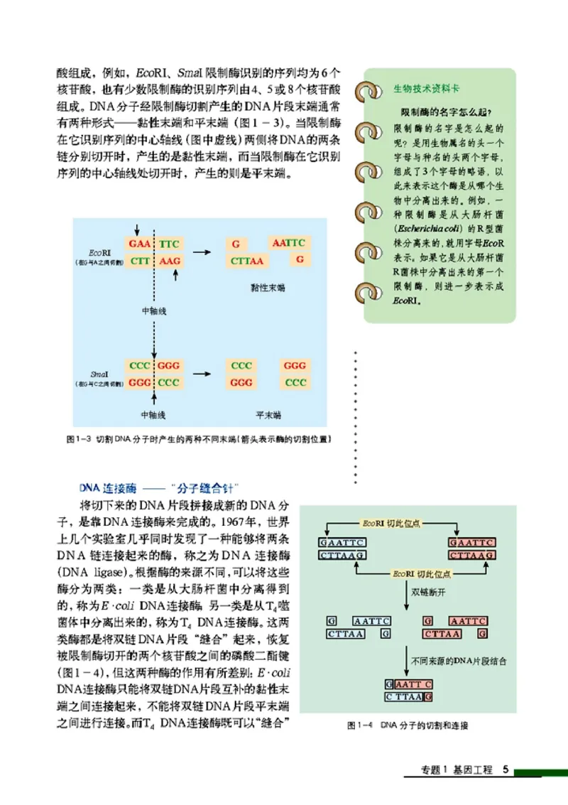 高中生物选修3现代生物科技专题_4-教培资料-26年最新资料-同步更新_初中高中教资_03科三专项（进去保存报考的学科即可）_02科三专项（笔记真题思维导图教学设计版本二）