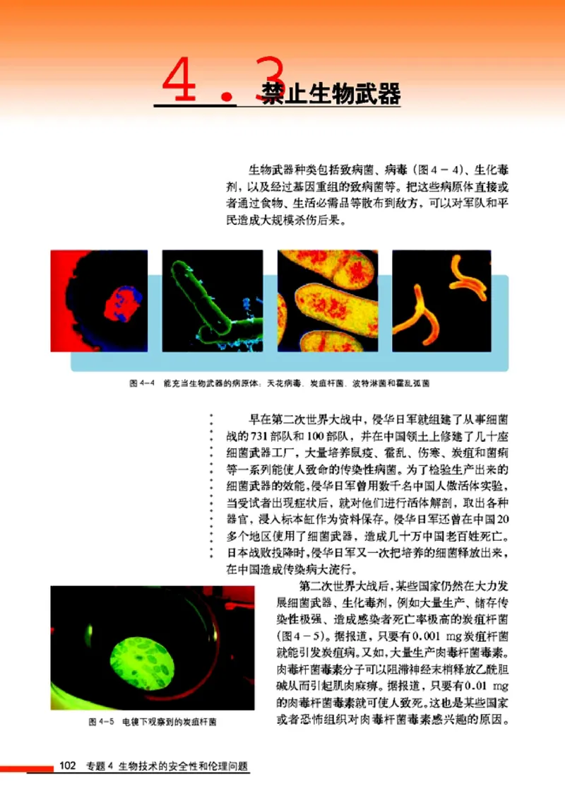 高中生物选修3现代生物科技专题_4-教培资料-26年最新资料-同步更新_初中高中教资_03科三专项（进去保存报考的学科即可）_02科三专项（笔记真题思维导图教学设计版本二）