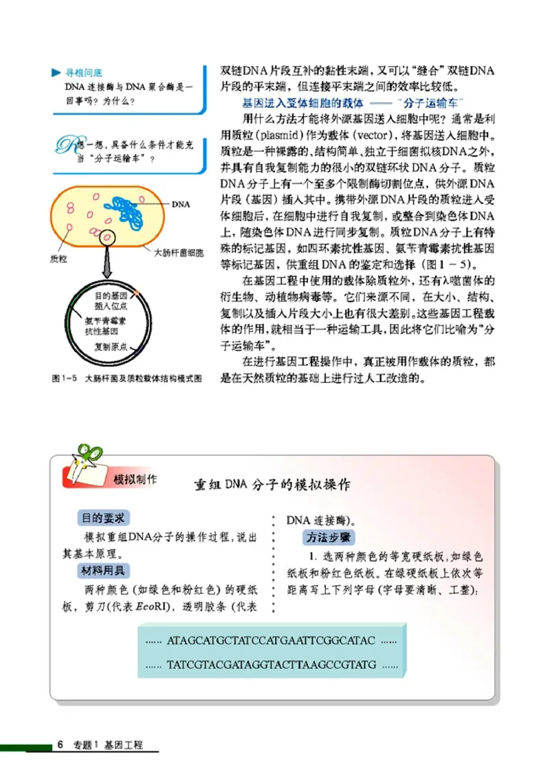 高中生物选修3现代生物科技专题_4-教培资料-26年最新资料-同步更新_初中高中教资_03科三专项（进去保存报考的学科即可）_02科三专项（笔记真题思维导图教学设计版本二）