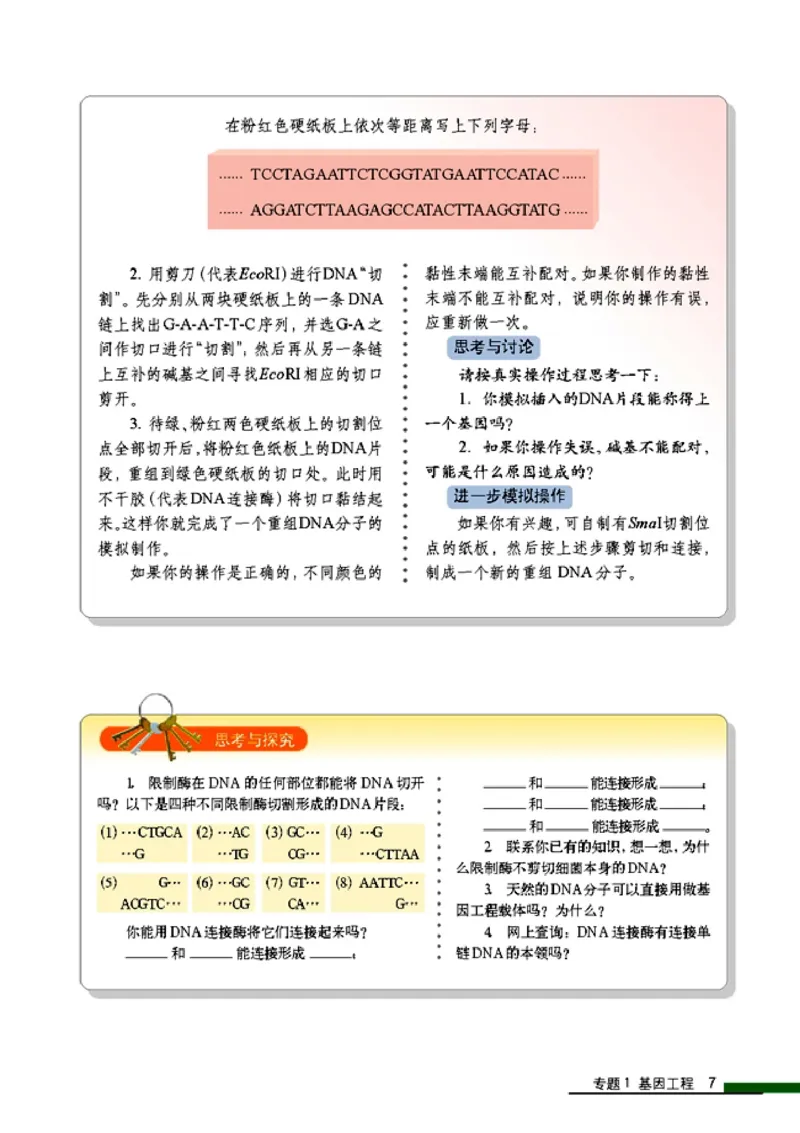 高中生物选修3现代生物科技专题_4-教培资料-26年最新资料-同步更新_初中高中教资_03科三专项（进去保存报考的学科即可）_02科三专项（笔记真题思维导图教学设计版本二）