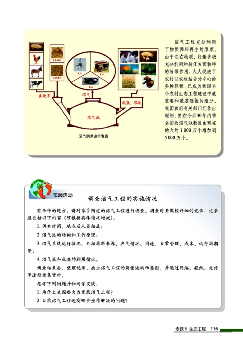 高中生物选修3现代生物科技专题_4-教培资料-26年最新资料-同步更新_初中高中教资_03科三专项（进去保存报考的学科即可）_02科三专项（笔记真题思维导图教学设计版本二）
