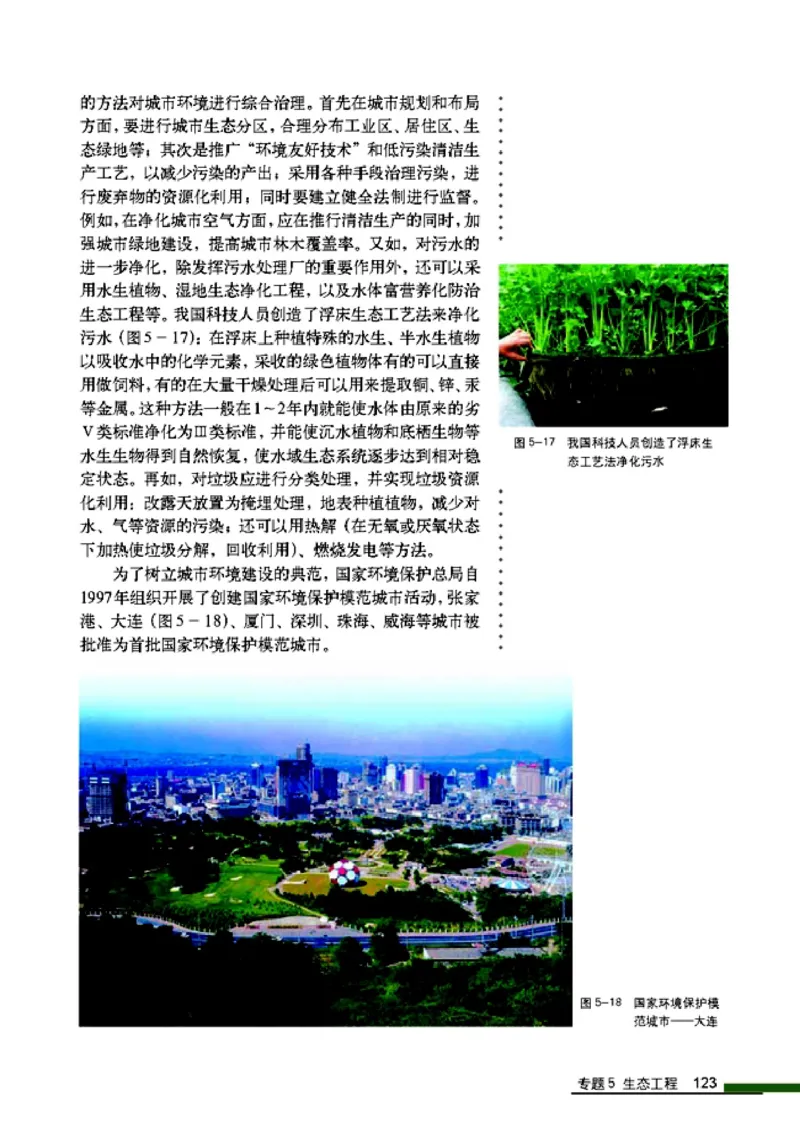 高中生物选修3现代生物科技专题_4-教培资料-26年最新资料-同步更新_初中高中教资_03科三专项（进去保存报考的学科即可）_02科三专项（笔记真题思维导图教学设计版本二）