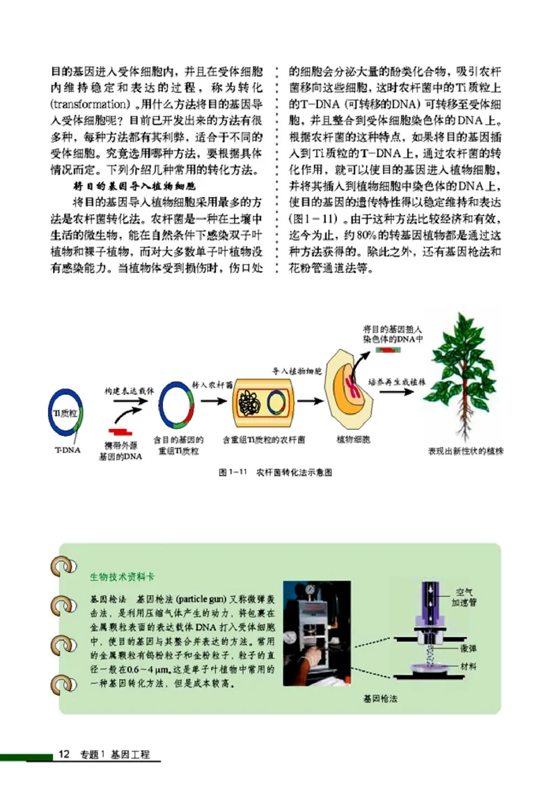 高中生物选修3现代生物科技专题_4-教培资料-26年最新资料-同步更新_初中高中教资_03科三专项（进去保存报考的学科即可）_02科三专项（笔记真题思维导图教学设计版本二）