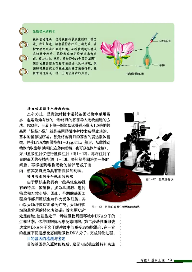 高中生物选修3现代生物科技专题_4-教培资料-26年最新资料-同步更新_初中高中教资_03科三专项（进去保存报考的学科即可）_02科三专项（笔记真题思维导图教学设计版本二）