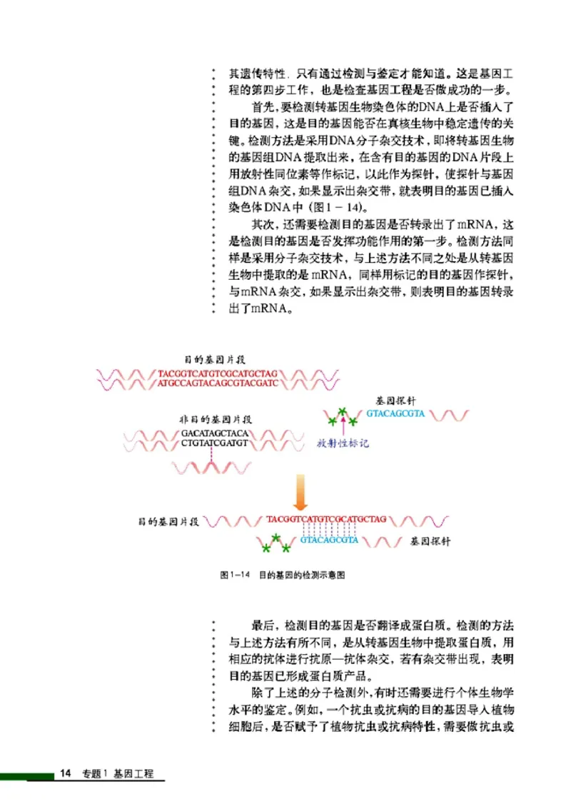 高中生物选修3现代生物科技专题_4-教培资料-26年最新资料-同步更新_初中高中教资_03科三专项（进去保存报考的学科即可）_02科三专项（笔记真题思维导图教学设计版本二）