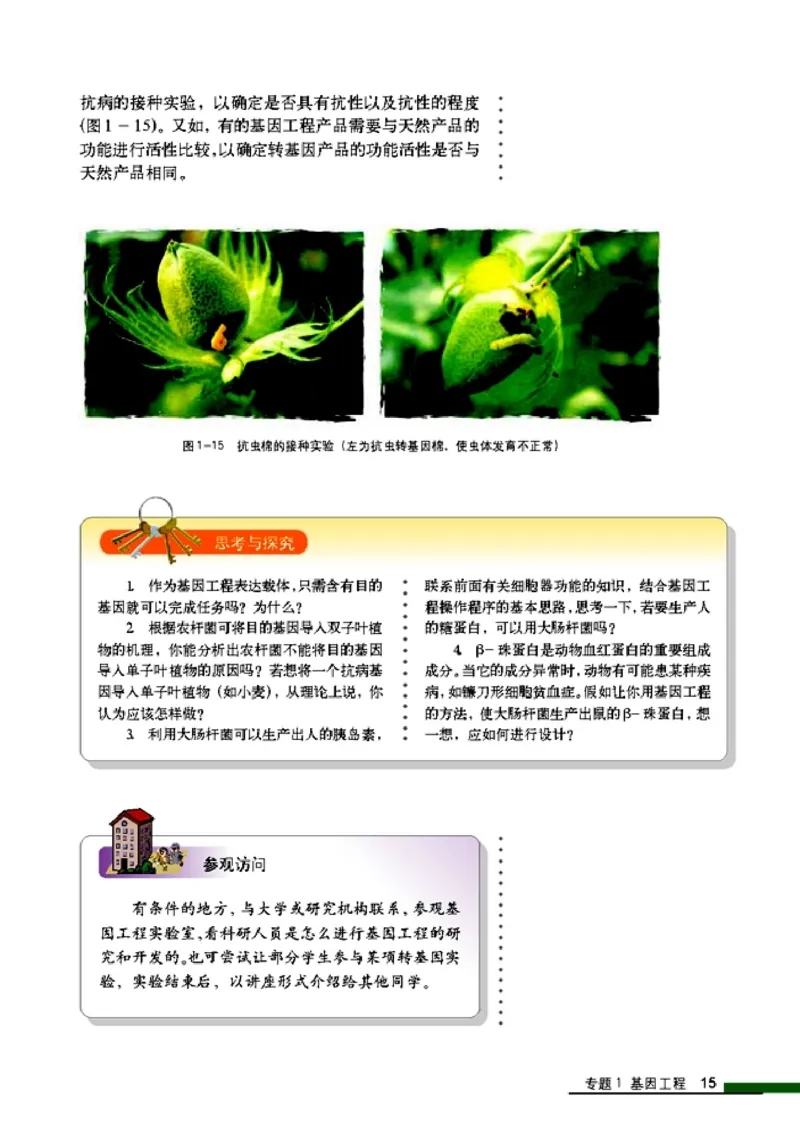 高中生物选修3现代生物科技专题_4-教培资料-26年最新资料-同步更新_初中高中教资_03科三专项（进去保存报考的学科即可）_02科三专项（笔记真题思维导图教学设计版本二）