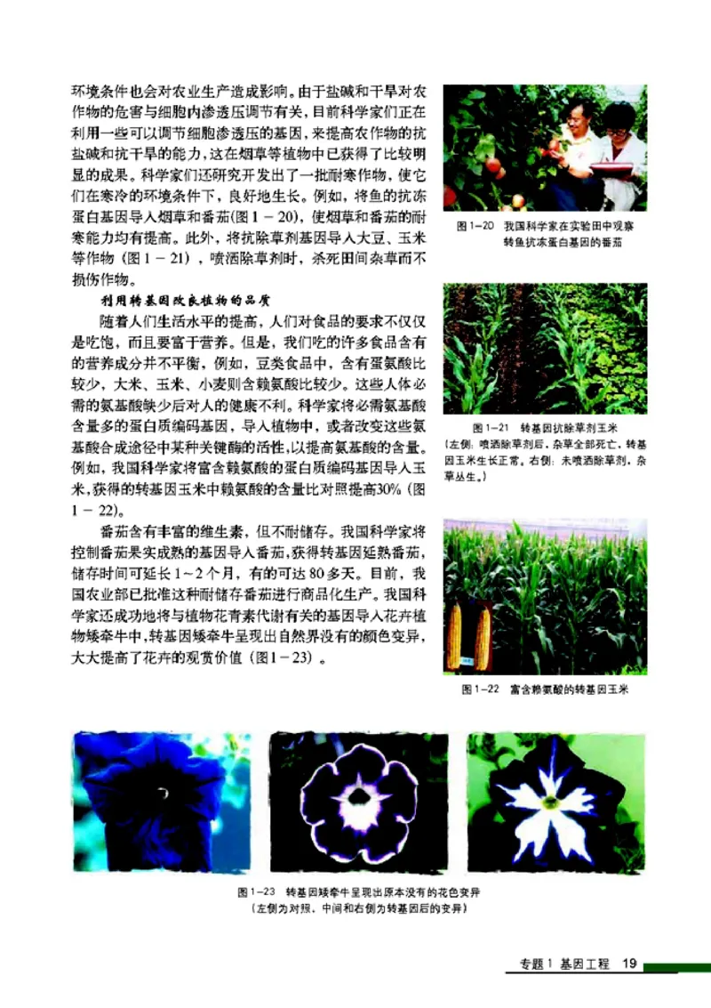 高中生物选修3现代生物科技专题_4-教培资料-26年最新资料-同步更新_初中高中教资_03科三专项（进去保存报考的学科即可）_02科三专项（笔记真题思维导图教学设计版本二）