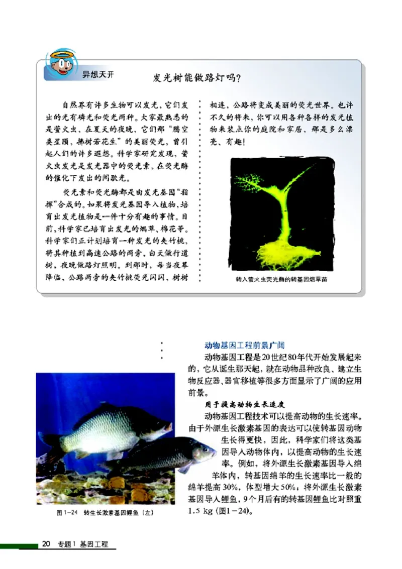 高中生物选修3现代生物科技专题_4-教培资料-26年最新资料-同步更新_初中高中教资_03科三专项（进去保存报考的学科即可）_02科三专项（笔记真题思维导图教学设计版本二）