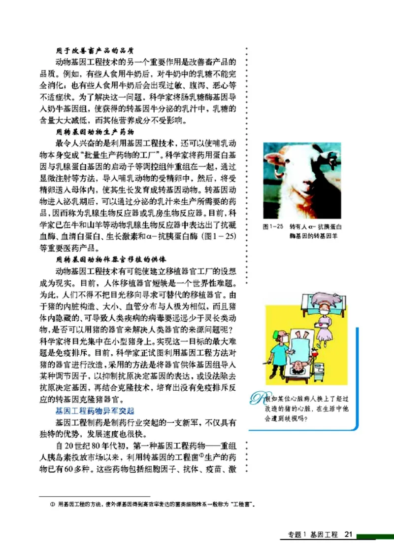 高中生物选修3现代生物科技专题_4-教培资料-26年最新资料-同步更新_初中高中教资_03科三专项（进去保存报考的学科即可）_02科三专项（笔记真题思维导图教学设计版本二）