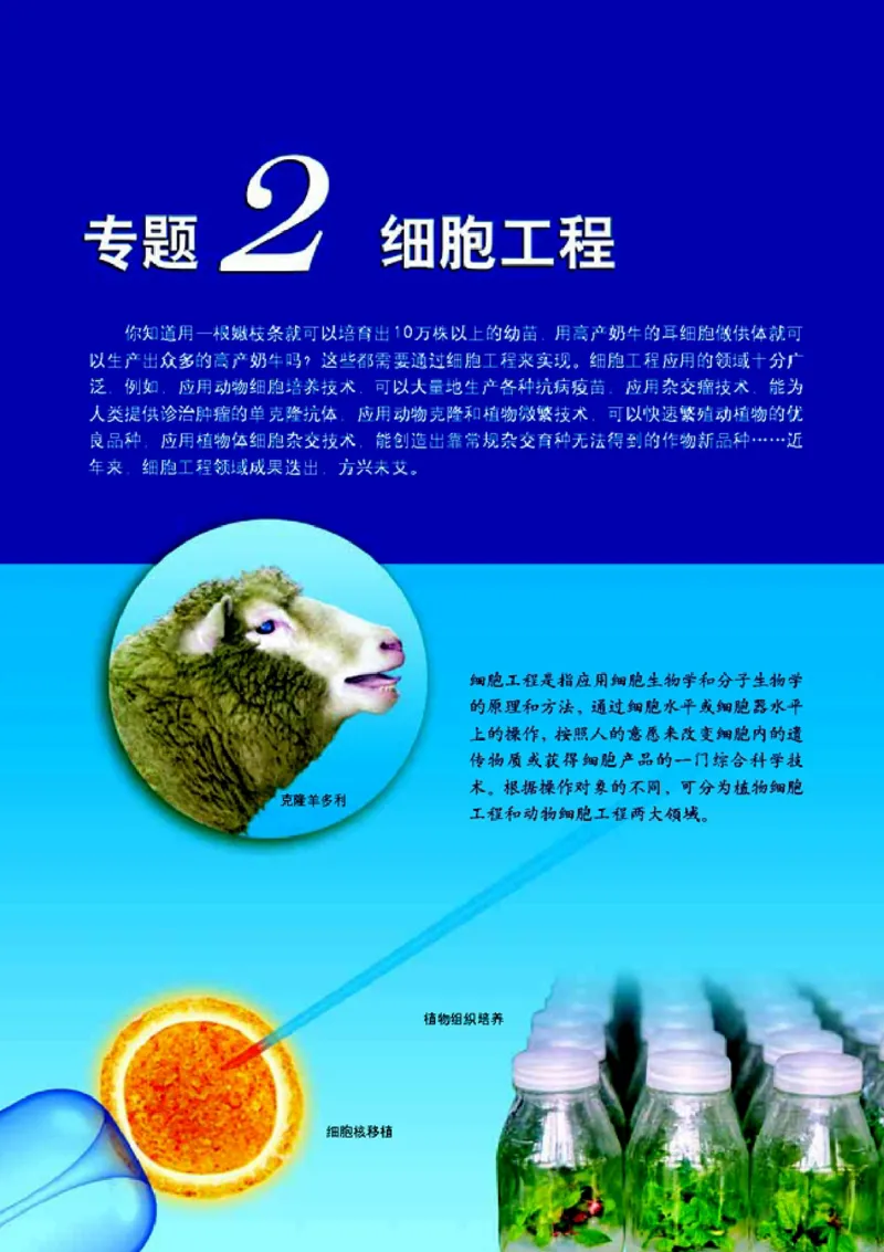 高中生物选修3现代生物科技专题_4-教培资料-26年最新资料-同步更新_初中高中教资_03科三专项（进去保存报考的学科即可）_02科三专项（笔记真题思维导图教学设计版本二）