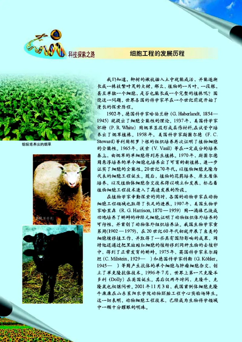 高中生物选修3现代生物科技专题_4-教培资料-26年最新资料-同步更新_初中高中教资_03科三专项（进去保存报考的学科即可）_02科三专项（笔记真题思维导图教学设计版本二）