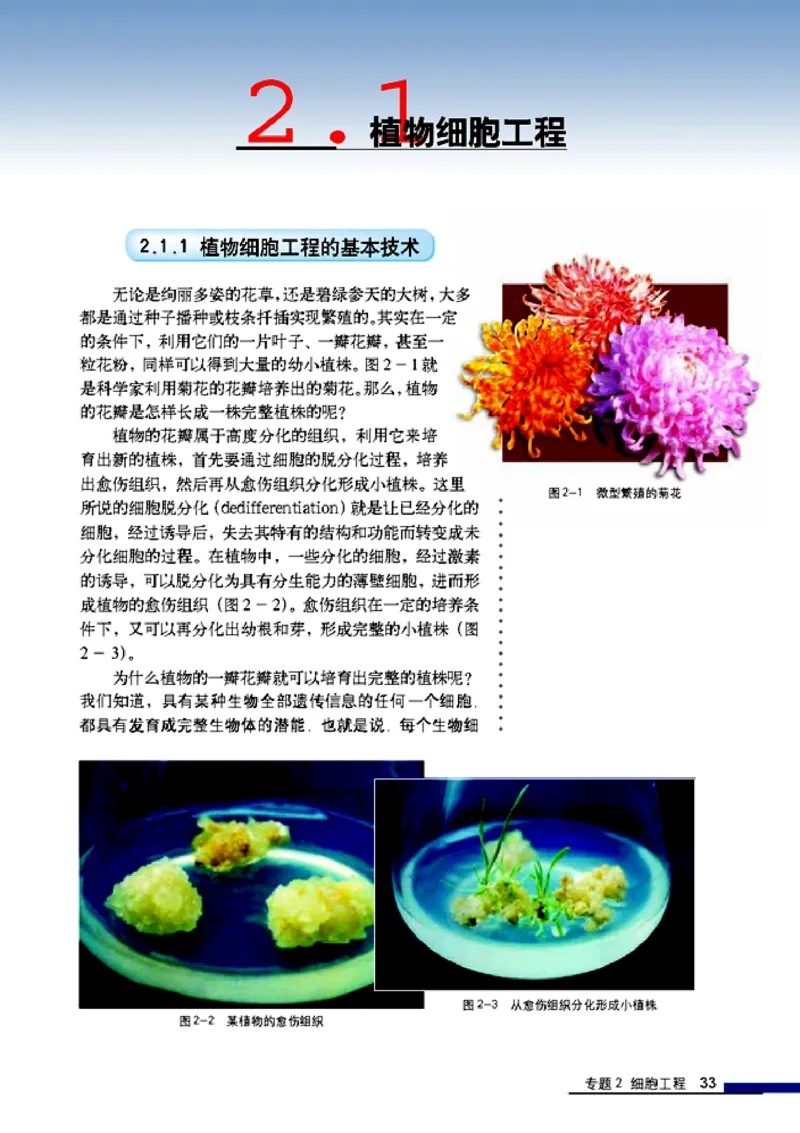 高中生物选修3现代生物科技专题_4-教培资料-26年最新资料-同步更新_初中高中教资_03科三专项（进去保存报考的学科即可）_02科三专项（笔记真题思维导图教学设计版本二）