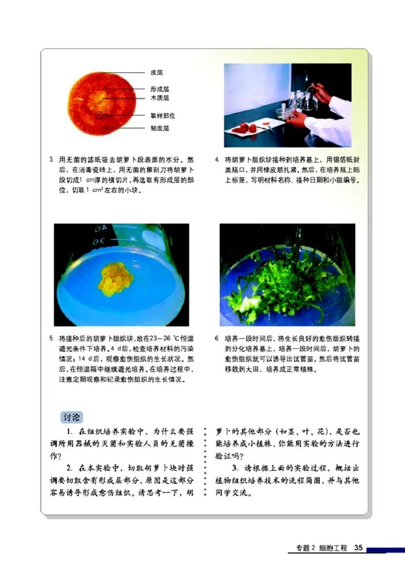 高中生物选修3现代生物科技专题_4-教培资料-26年最新资料-同步更新_初中高中教资_03科三专项（进去保存报考的学科即可）_02科三专项（笔记真题思维导图教学设计版本二）
