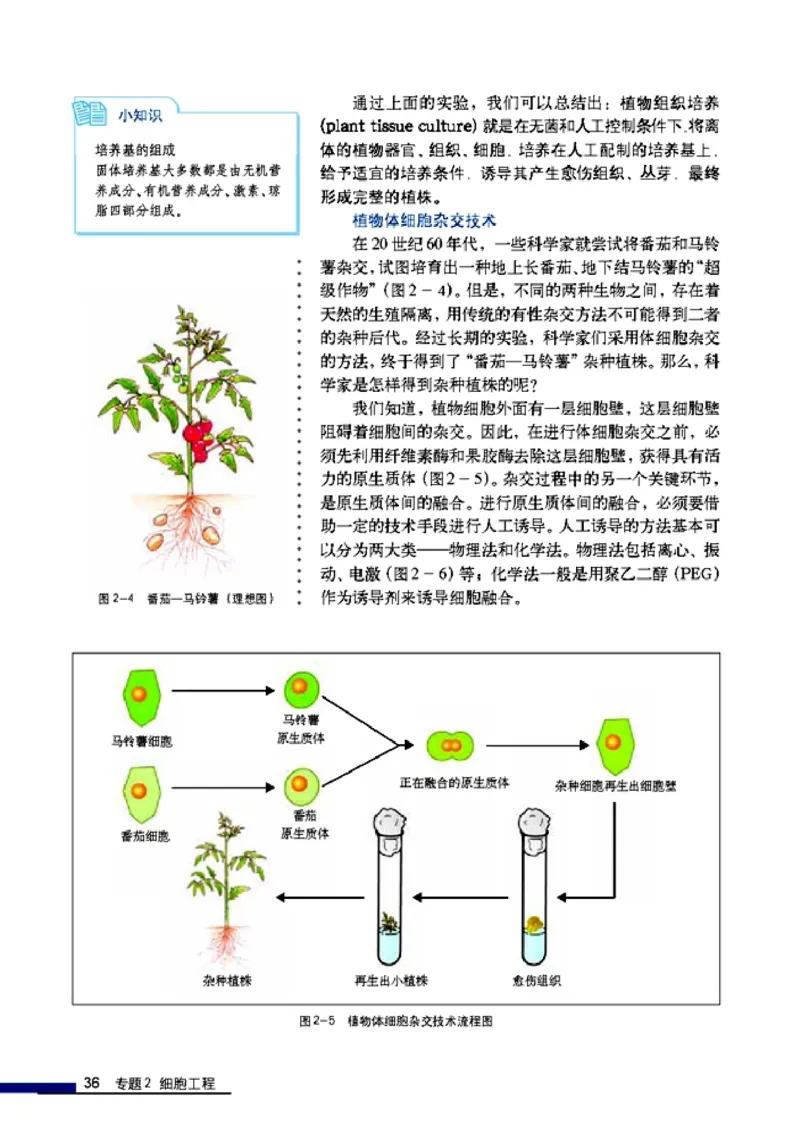 高中生物选修3现代生物科技专题_4-教培资料-26年最新资料-同步更新_初中高中教资_03科三专项（进去保存报考的学科即可）_02科三专项（笔记真题思维导图教学设计版本二）